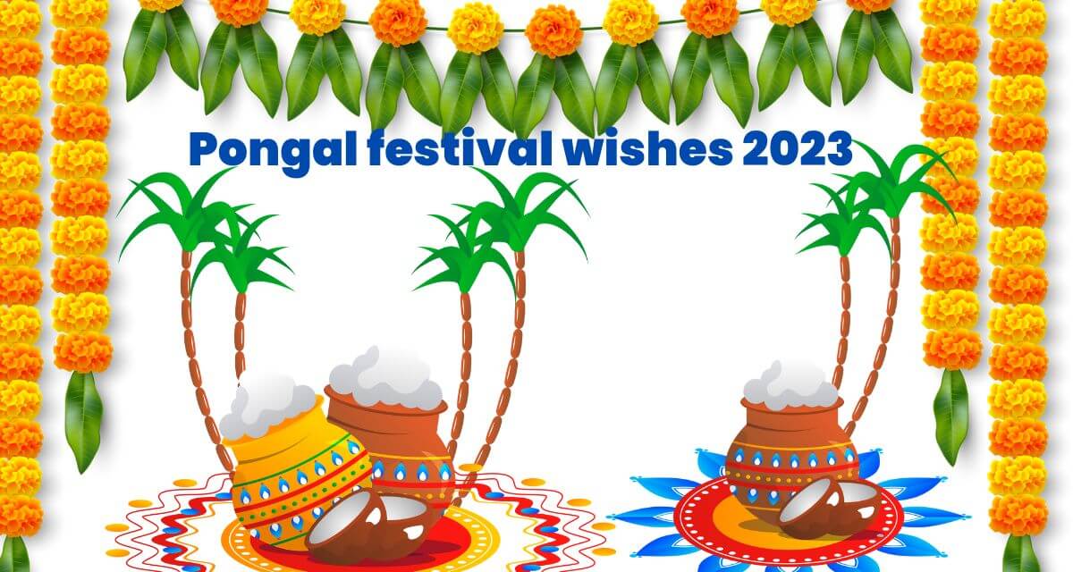 Pongal festival wishes 2023