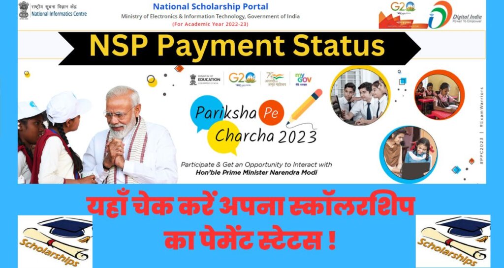NSP Payment Status