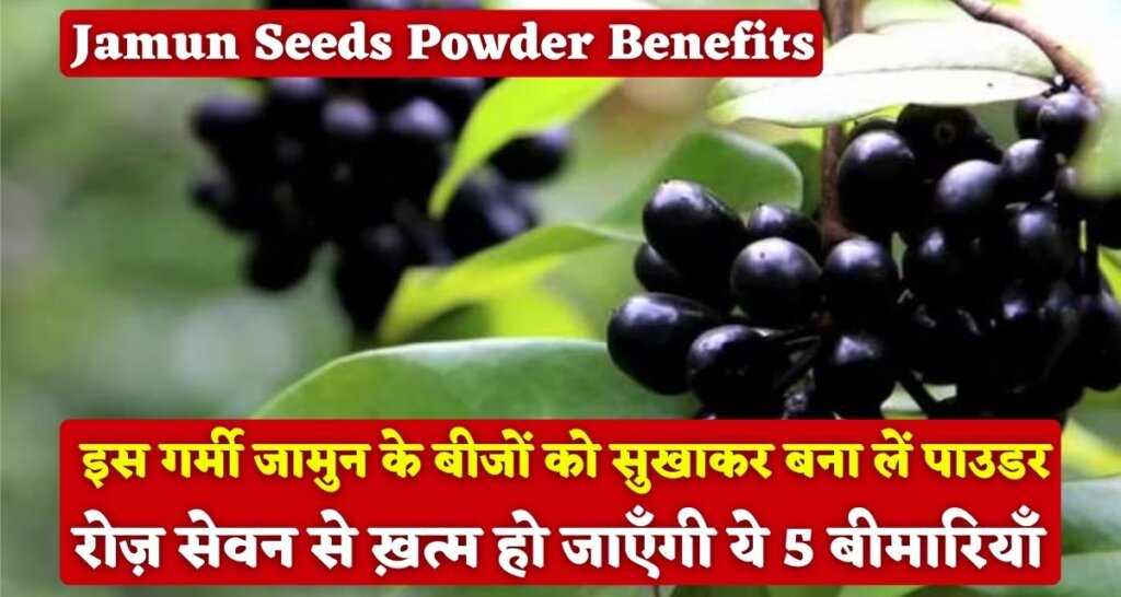 Jamun Seeds Powder Benefits