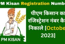 PM kisan Registration Number