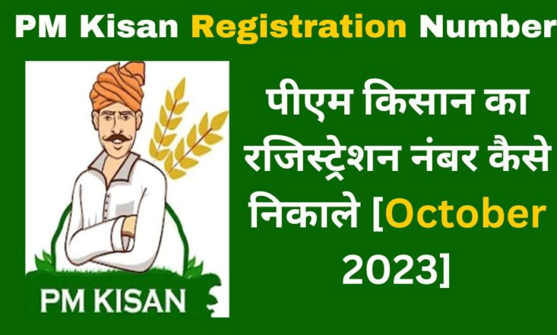 PM kisan Registration Number